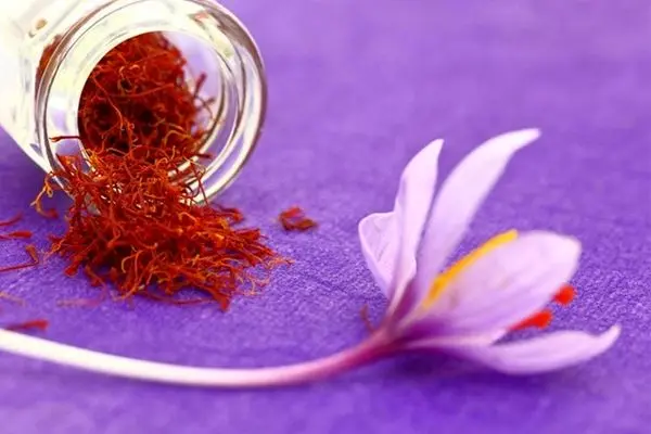 5 Important Tips to Consider When Buying Saffron