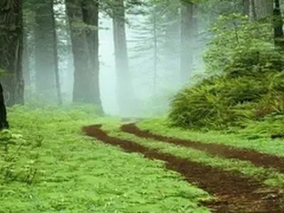 احداث۱۲ کیلومتر کمربند حفاظتی در مراتع محدوده شهر جوانرود