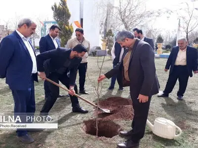 ۲۰ نهال به نیت شهدای محمودآباد نمونه غرس شد