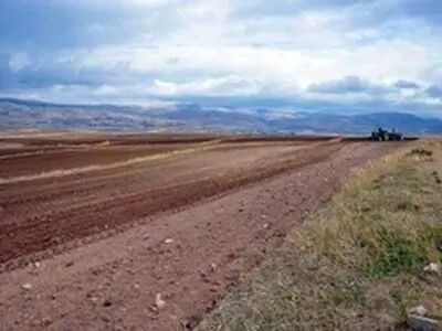 سایت الگویی جامع تولیدی ترویجی گندم دیم در چاراویماق اجرا شد