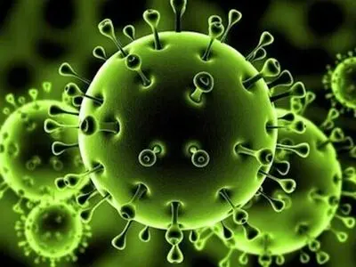 تعداد بستری بیماران کرونایی در یزد به ۴۳۰ نفر رسید