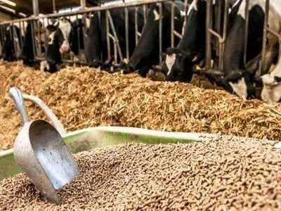 بیش از ۴ تن نهاده دامی غیربهداشتی در آذربایجان شرقی معدوم شد