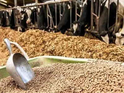 بیش از ۴ تن نهاده دامی غیربهداشتی در آذربایجان شرقی معدوم شد