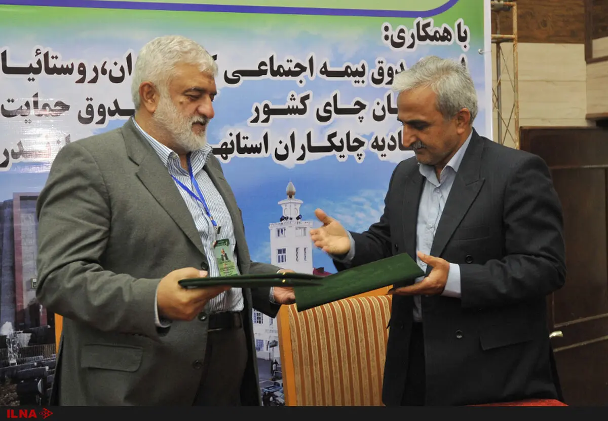 چایکاران بیمه می‌شوند/واعظ‌مهدوی: نگرش تولیدمحور، توسعه را شتاب می‌دهد