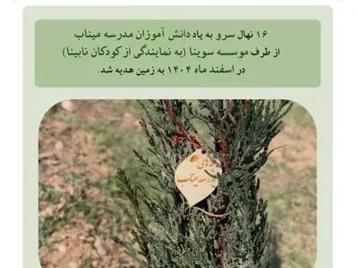 کاشت درخت به یاد بچه‌های مدرسه شهر میناب توسط سوینا