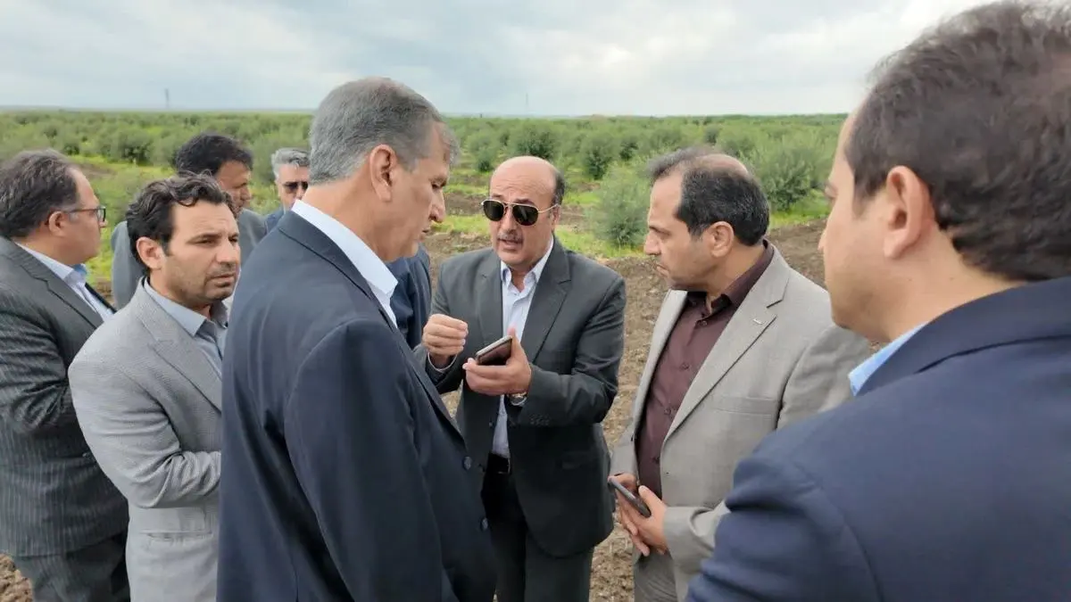 لزوم توسعه کشت گلخانهای در راستای امنیت غذایی