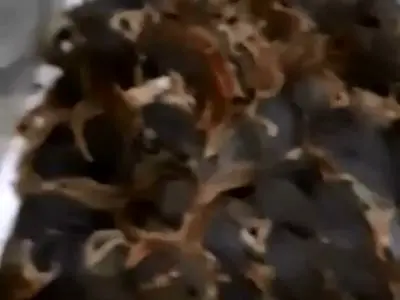 asdasd