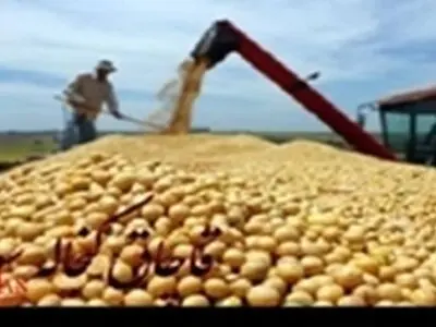 جریمه چهار میلیارد ریالی یک شرکت متخلف در ماهشهر 