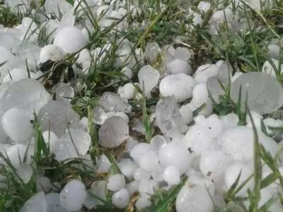 خسارت ۲۴۰۰ میلیارد ریالی سرمازدگی و تگرگ به بخش کشاورزی ارومیه