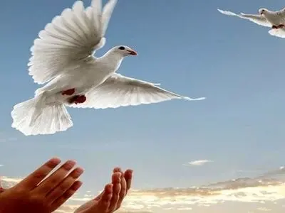 آزادی ۹۱ زندانی جرائم غیرعمد در ارومیه
