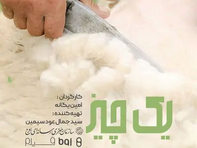 «یک چیز بی‌خاصیت» روی انتن شبکه مستند 