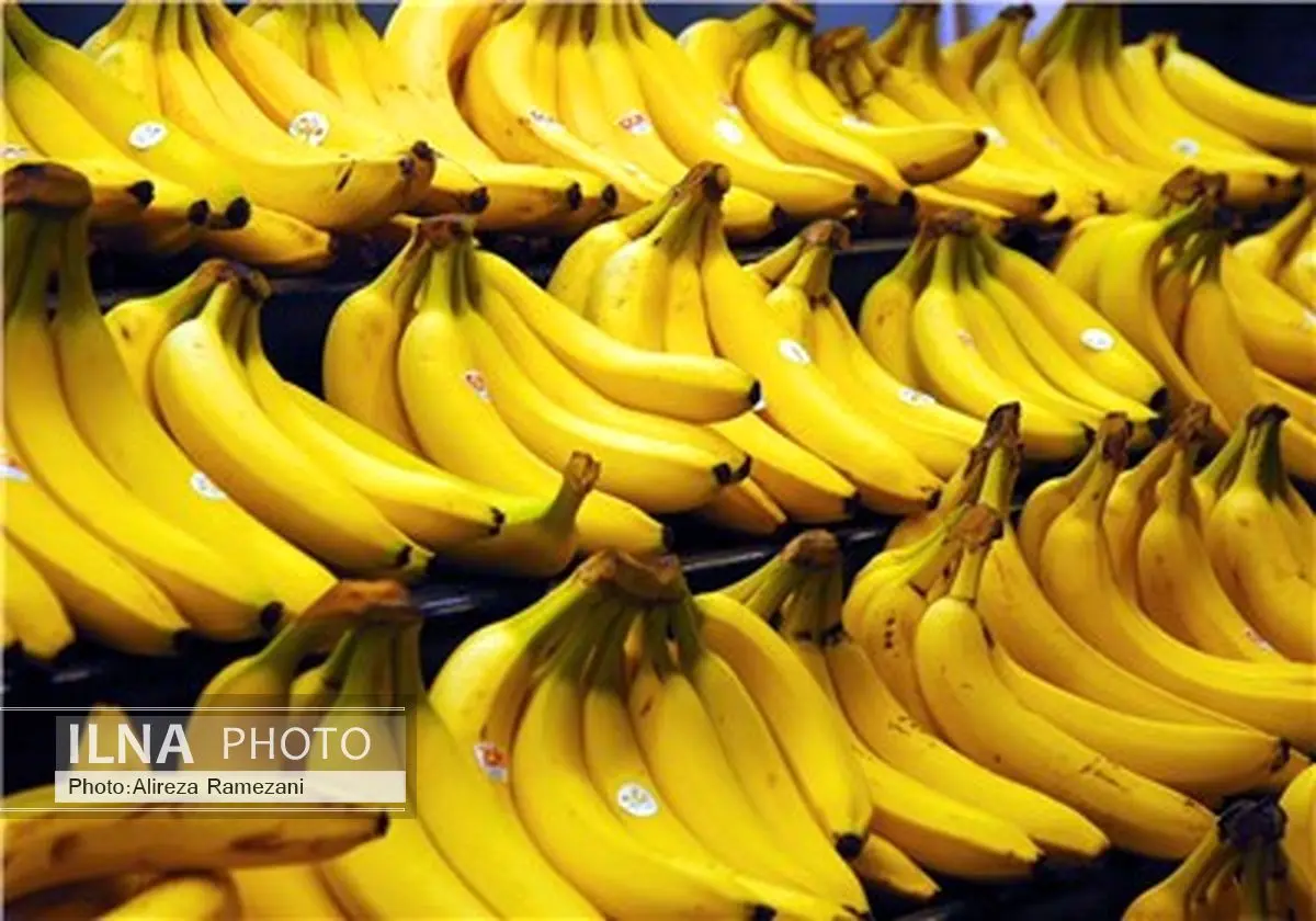 تعرفه واردات هر کیلو موز در ازای صادرات 1.5 کیلوگرم سیب درختی 5 درصد تعیین شد