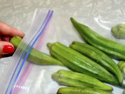 با این روش بامیه را تا یک سال تازه نگهدار