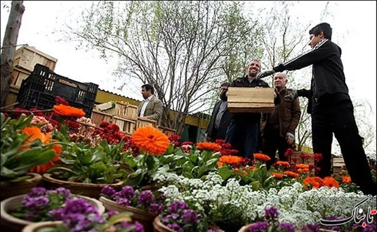 بازگشایی دوباره بازار گل و گیاه ستاری با انجام مراقبت‌های بهداشتی 