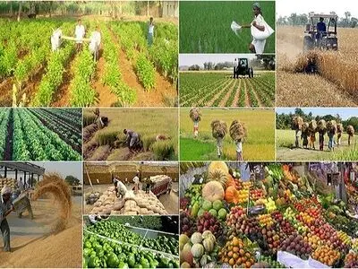 30 تا 70 درصد مازاد تولیدات اصلی بخش کشاورزی استان مرکزی 