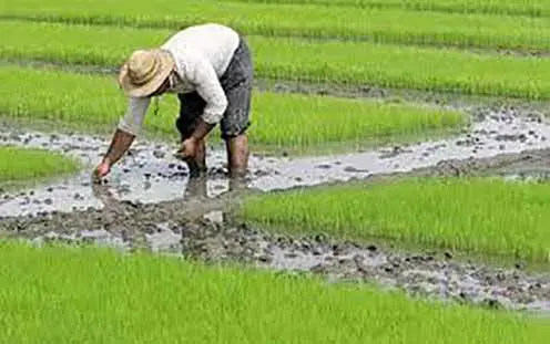 کشاورزان: آب منطقه‌ای صلاحیت ابطال اسناد را ندارد/برگزاری اعتراضات گزینه بعدی است