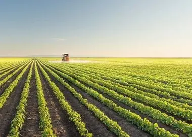 تصمیم امروز برای گذار از کشاورزی سنتی، آینده تولید در گلستان را می‌سازد  /ادامه کشاورزی سنتی در استان هزینه‌ها را دو برابر می‌کند 