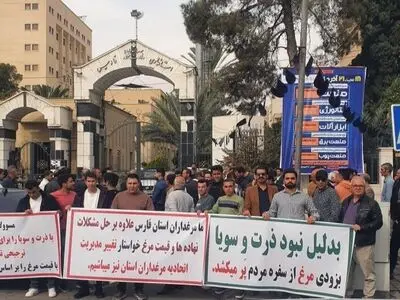 تجمع مرغداران استان فارس/ با این قیمت‌ها ادامه تولید ممکن نیست