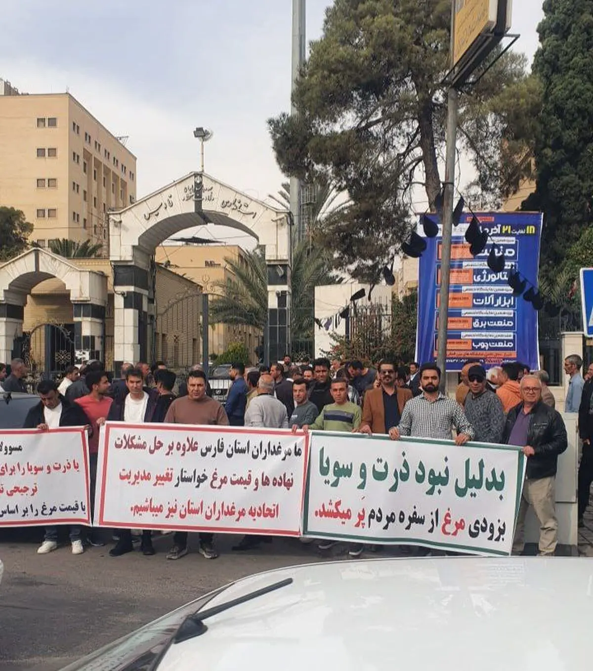 تجمع مرغداران استان فارس/ با این قیمت‌ها ادامه تولید ممکن نیست