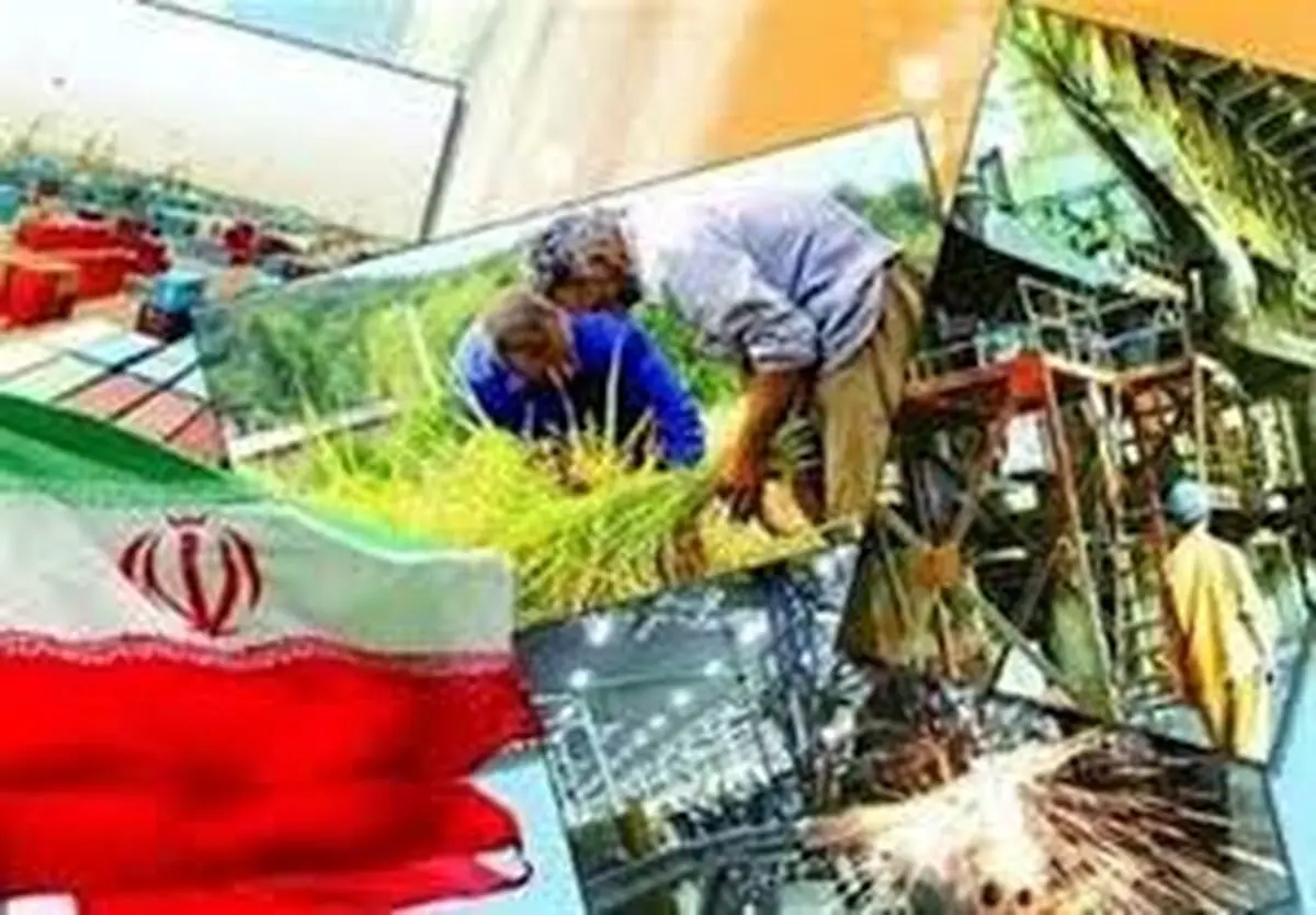 گیلان در پرداخت تسهیلات اشتغال روستایی رتبه 11 کشوری را داراست 