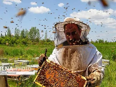 ایران تتبوأ المرتبة الرابعة عالمیاً فی انتاج العسل