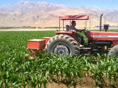 توسعه کشاورزی قراردادی در زنجیره تأمین سه محصول راهبردی