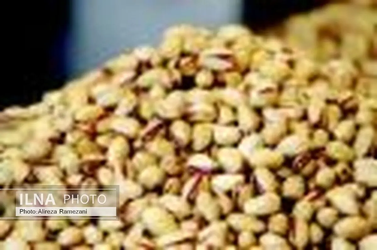 افزایش 22 درصدی صادرات پسته ایران در شش ماهه نخست سال 95
