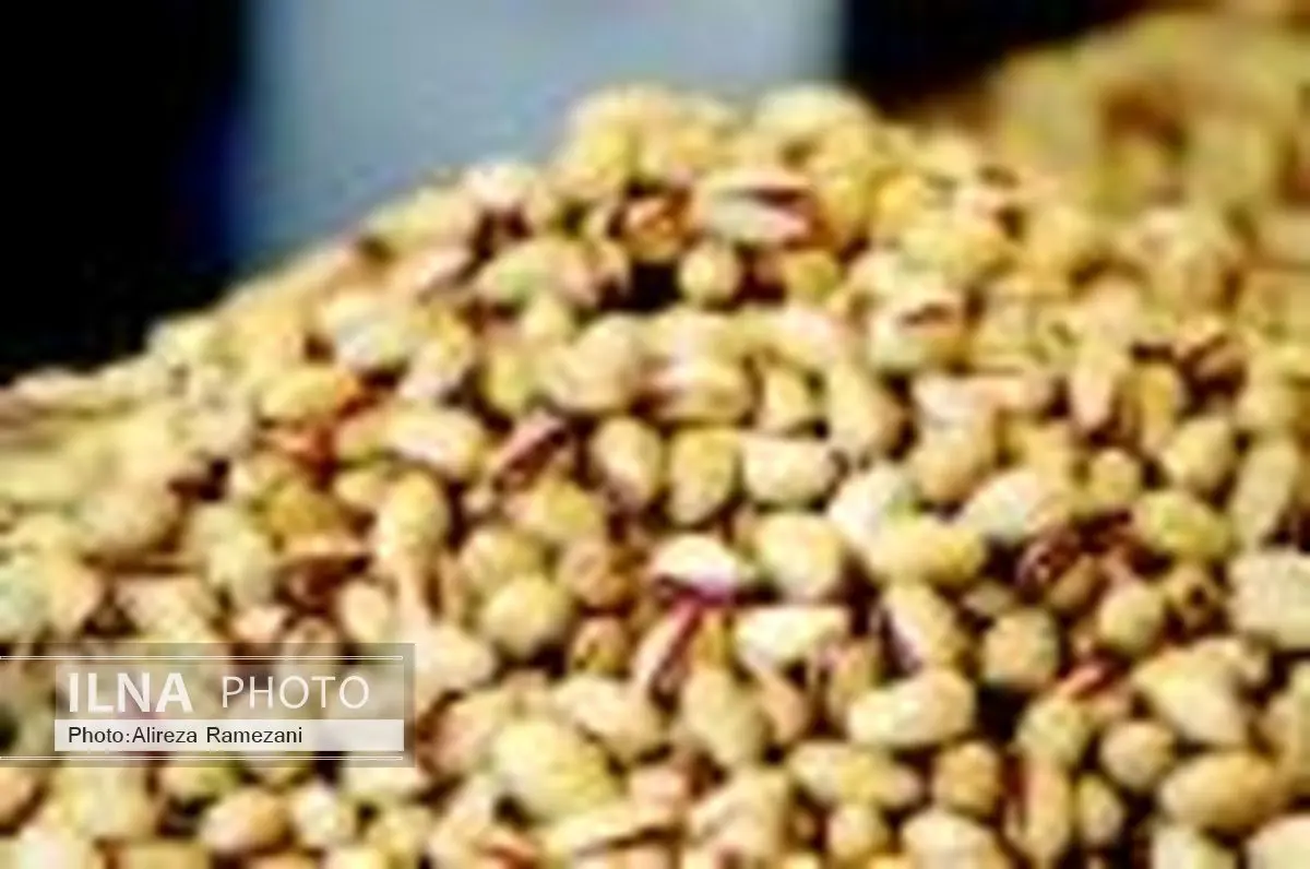 افزایش 22 درصدی صادرات پسته ایران در شش ماهه نخست سال 95