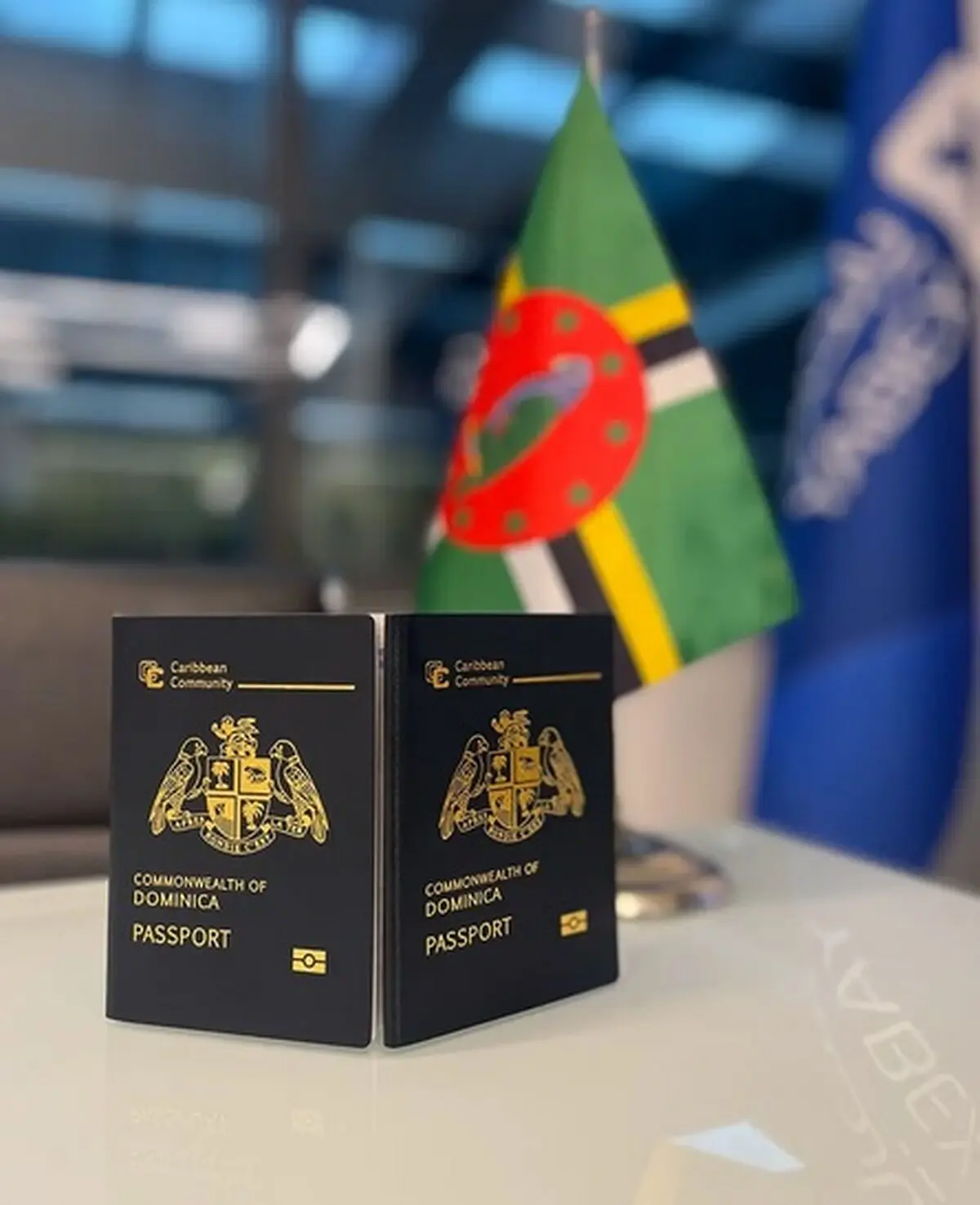 پاسپورت دومینیکا در سال 2025 برای ایرانیان + مدارک و شرایط