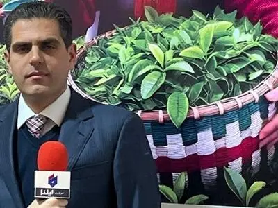 افزایش قیمت چای در آستانه نوروز/ عدم تبلیغات کافی، چای ایرانی را کمرنگ کرد