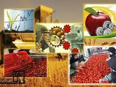 جهش سرمایه‌گذاری در کشاورزی چهارمحال و بختیاری با اخذ مجوزهای ملی امکان پذیر است