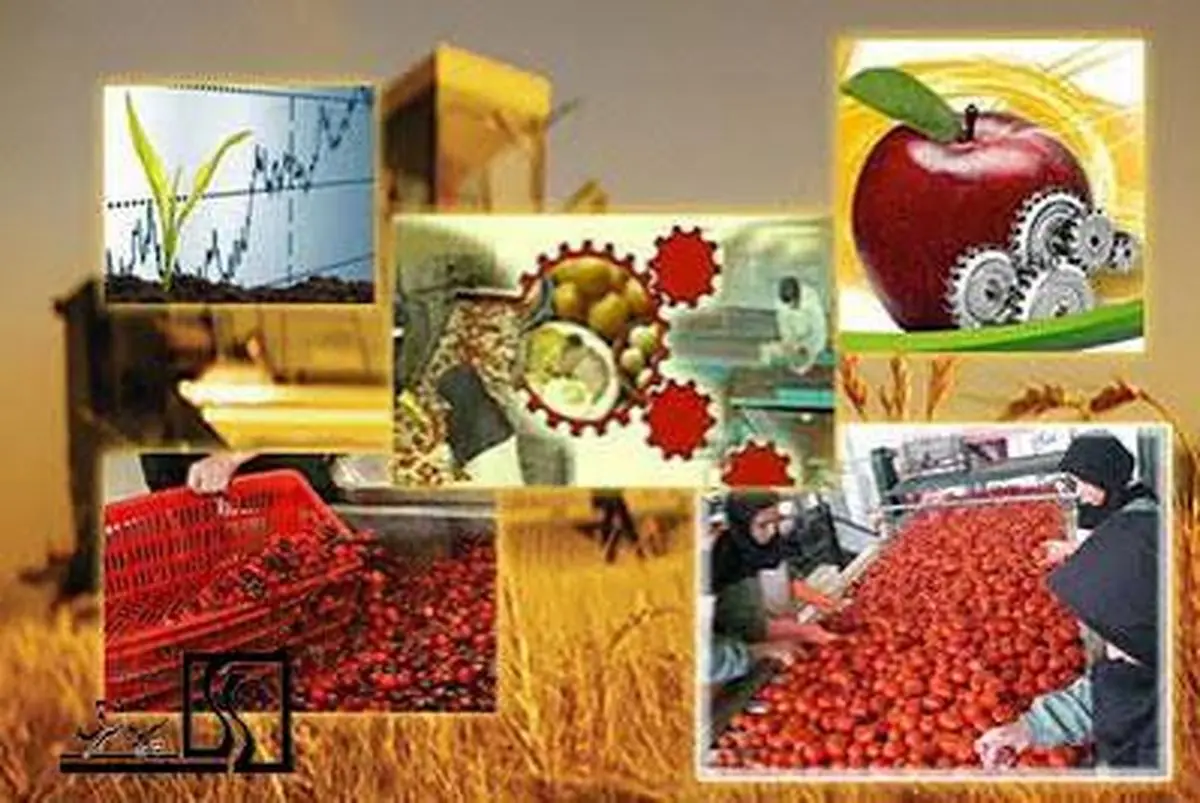 جهش سرمایه‌گذاری در کشاورزی چهارمحال و بختیاری با اخذ مجوزهای ملی امکان پذیر است
