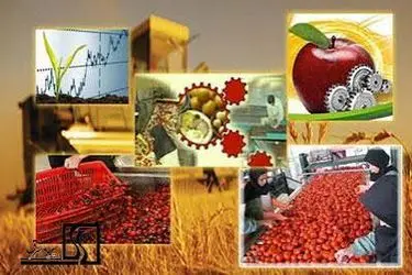 جهش سرمایه‌گذاری در کشاورزی چهارمحال و بختیاری با اخذ مجوزهای ملی امکان پذیر است