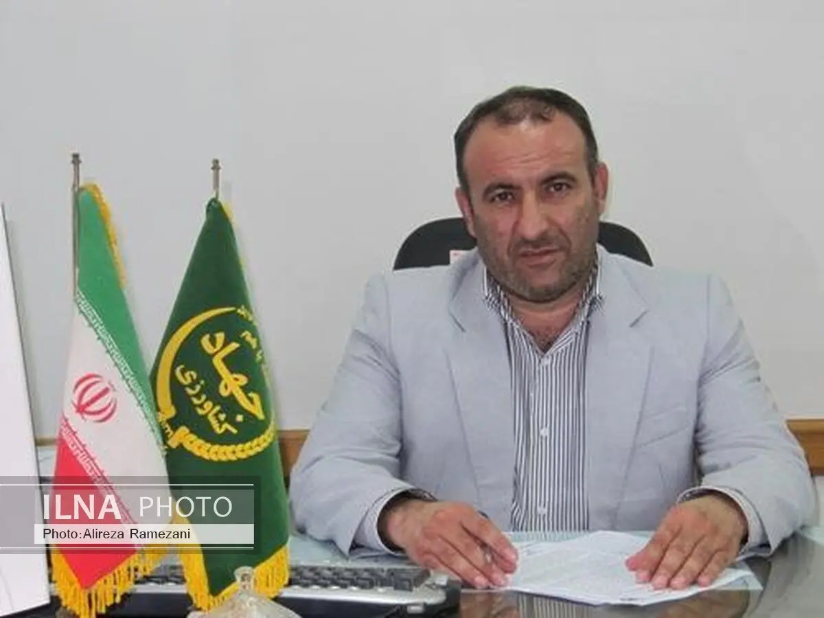  ظرفیت تولید مرغ در مازندران سالانه 210 هزار تن است