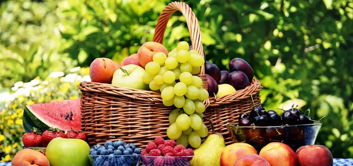 قیمت میوه در میادین تره بار امروز یکشنبه ۱۰ تیر ۱۴۰۳ + جدول