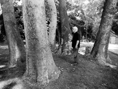 کاشت درخت «افرا» به یاد بهرام بیضایی