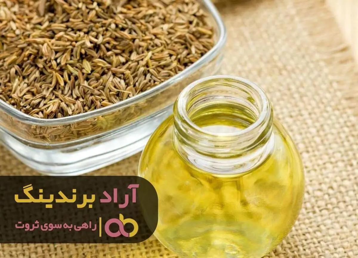 
رمز های موفقیتم برای ثروتمند شدن