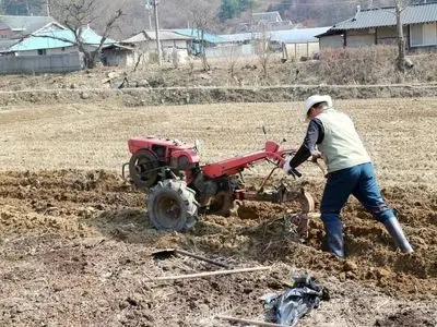 مرگ یک کارگر سردشتی  با دستگاه کولتیواتور 