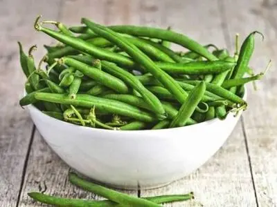 نحوه کاشت و پرورش گیاه لوبیا سبز در خانه