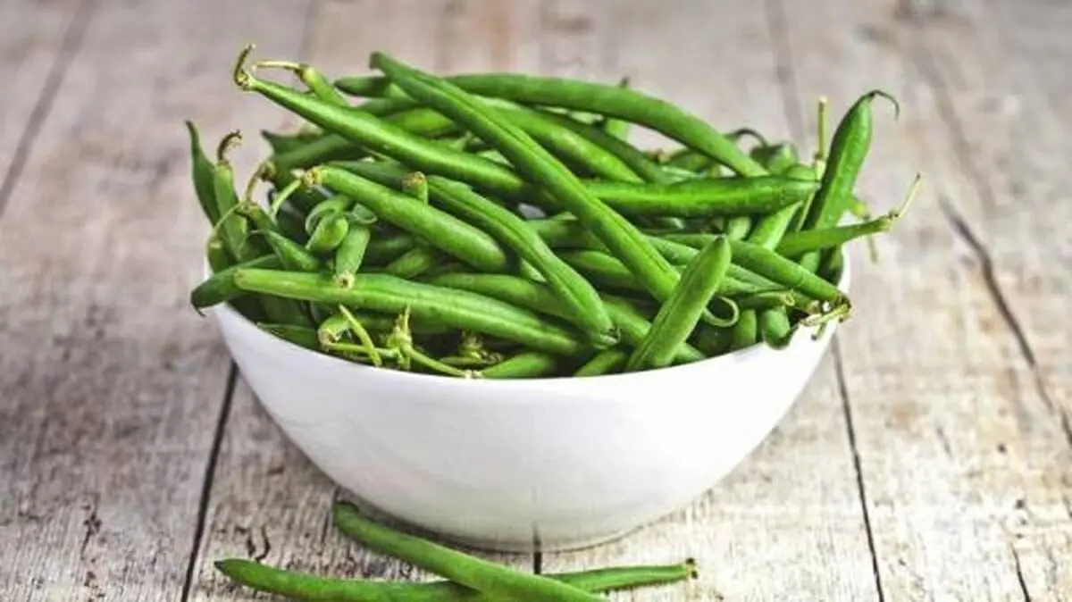 نحوه کاشت و پرورش گیاه لوبیا سبز در خانه