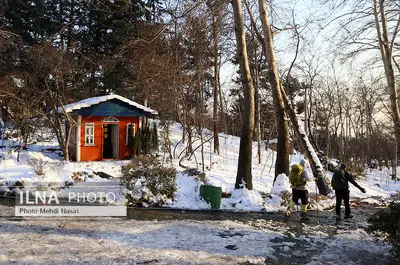 برف زمستانی پارک جمشیدیه