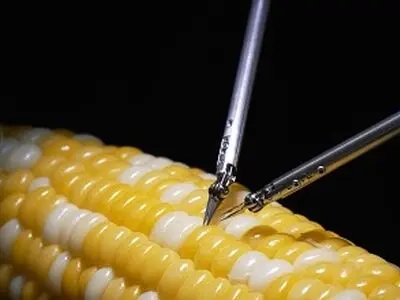 جراحی دقیق ربات جدید سونی روی یک دانه ذرت + فیلم