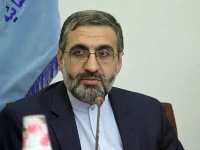 تایید بازداشت برخی از فعالان محیط زیست به علت ارائه اطلاعات به بیگانگان/احتمال بازداشت افراد جدید وجود دارد