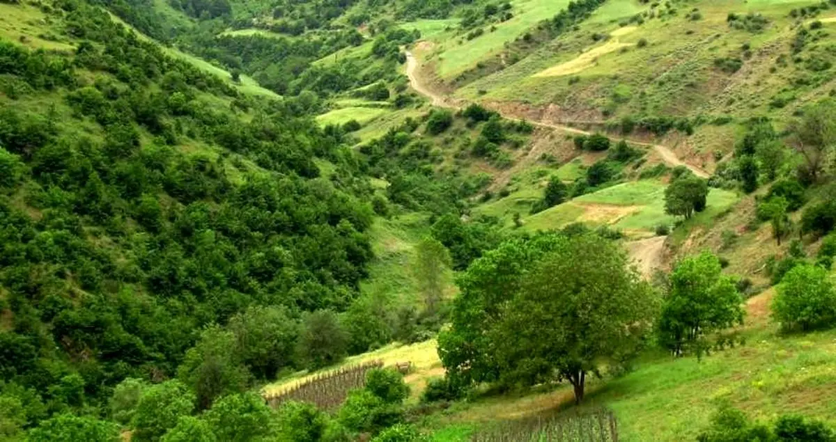 بازگشت بیش از 280 هکتار جنگل و مرتع به منابع طبیعی گلستان