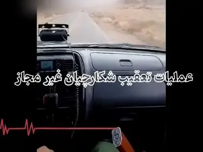 کشف ده ها سلاح و انواع مهمات از شکارچی های غیر مجاز!/ محیط‌بانان، شکارچیان غیرمجاز را چگونه در کوه و دشت شناسایی می کنند؟ + فیلم