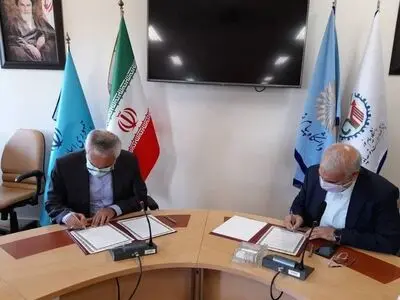 حاتم شاکرمی: رشته مهندسی ایمنی، نیازمند تخصصی شدن است