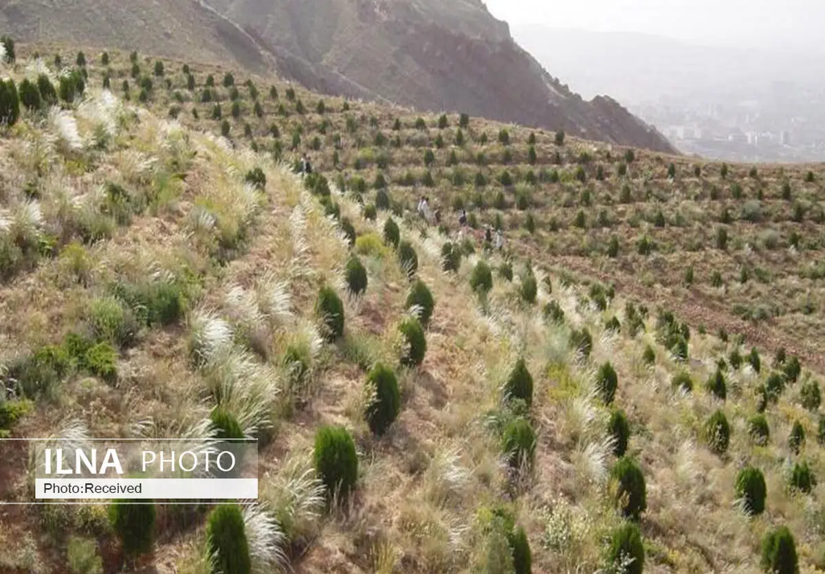 افتتاح 14 پایگاه مردمی اطفای حریق در روستاهای حاشیه جنگلی سمنان