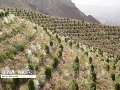 افتتاح 14 پایگاه مردمی اطفای حریق در روستاهای حاشیه جنگلی سمنان
