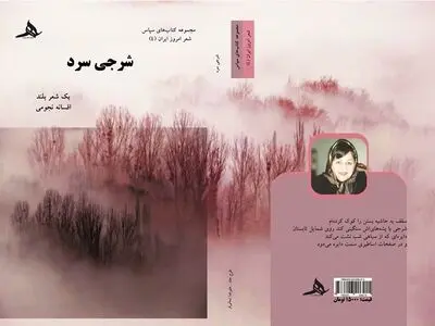 نگاهی به مجموعه شعر «شرجی سرد»، تازه ترین اثر افسانه نجومی