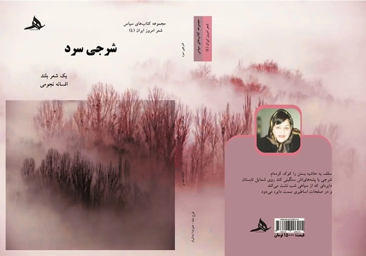 نگاهی به مجموعه شعر «شرجی سرد»، تازه ترین اثر افسانه نجومی